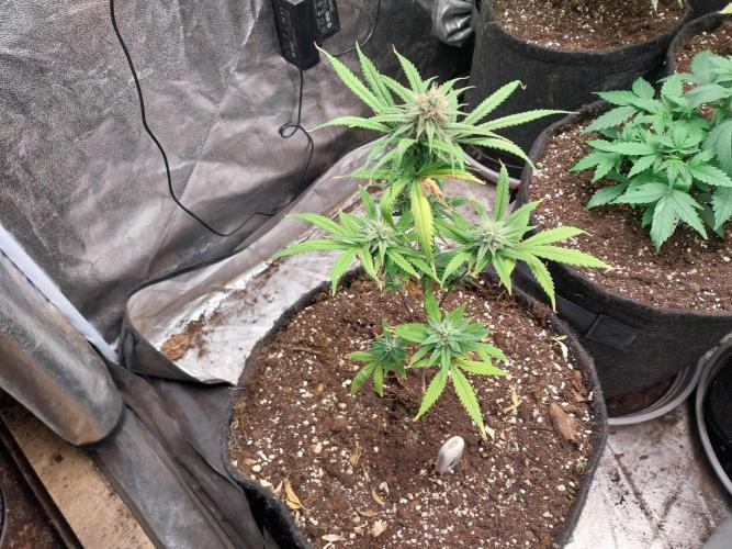 Poudraufou. Week 12 - 15/12