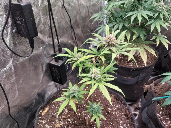 Poudraufou. Week 12 - 19/12