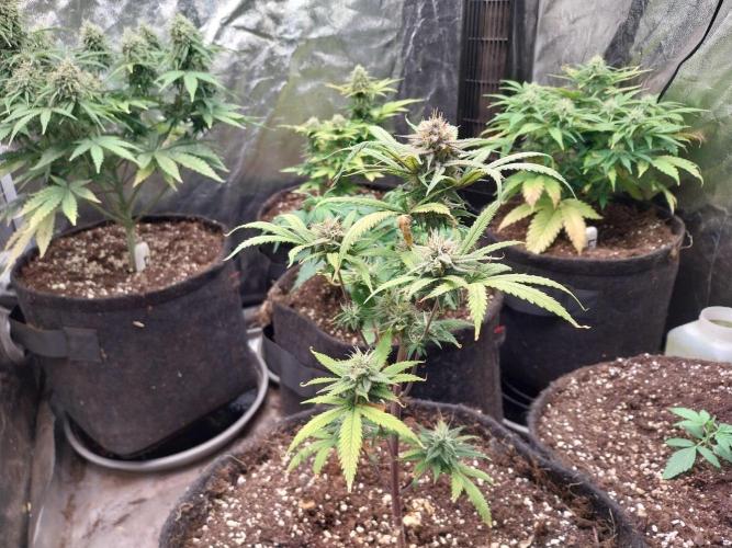 Poudraufou. Week 12 - 21/12