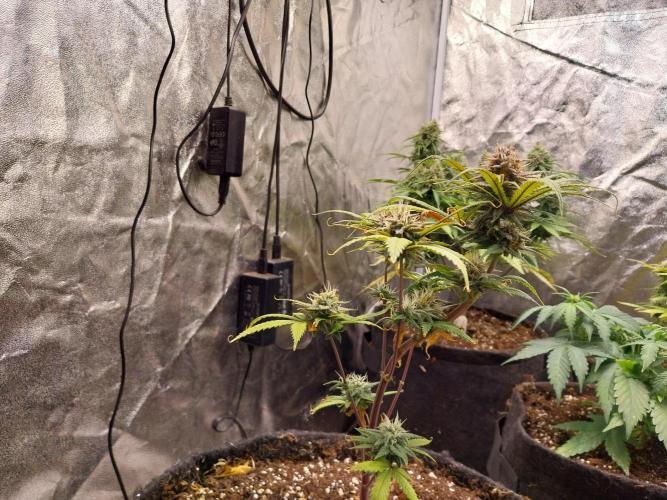 Poudraufou. Week 12 - 21/12