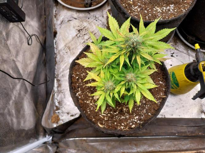 Blanchette. Week 8 - 23/12