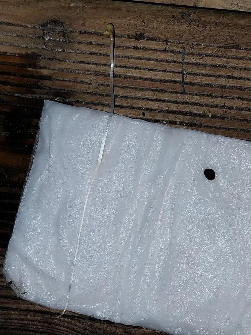 astéroweed. Week 0 - 22/12