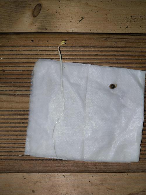 kongette. Week 0 - 15/01