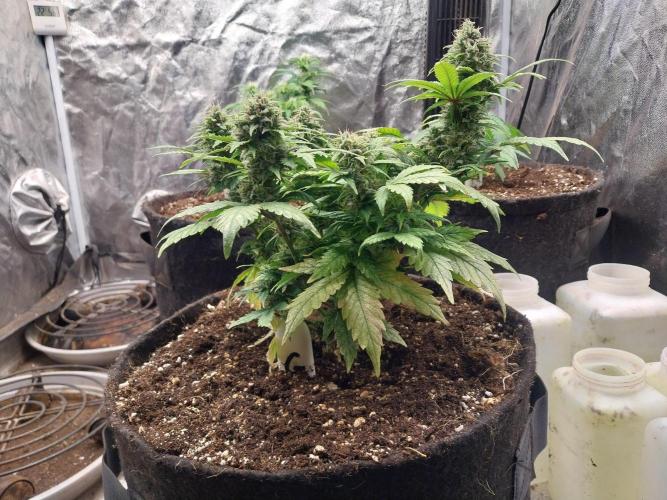 Quoitesqueu. Week 10 - 22/01 