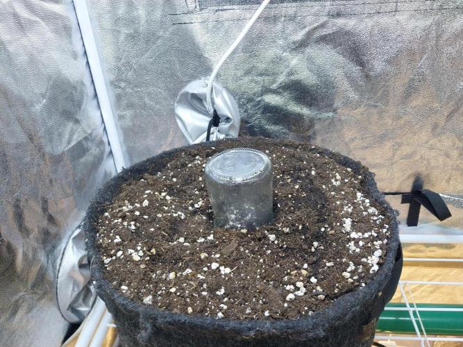 Lassape Ollogie. Week 0 - 25/01