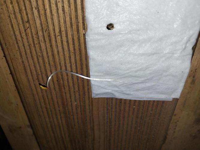 Rappa et mintal. Week 0 - 29/01