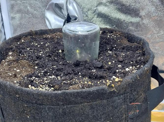 Erratatame. Week 0 - 10/02