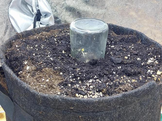 Erratatame. Week 0 - 10/02