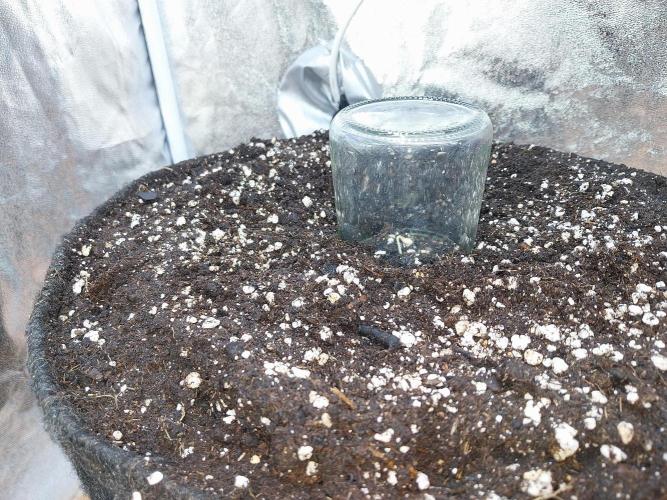 Faisse duloji. Week 0 - 11/02