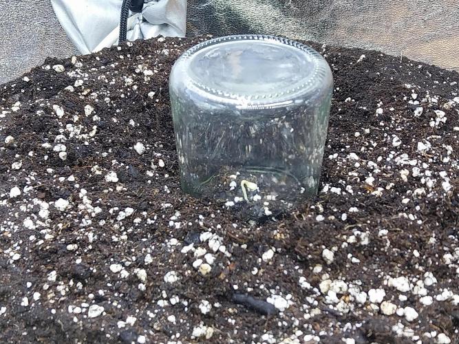 Faisse duloji. Week 0 - 11/02