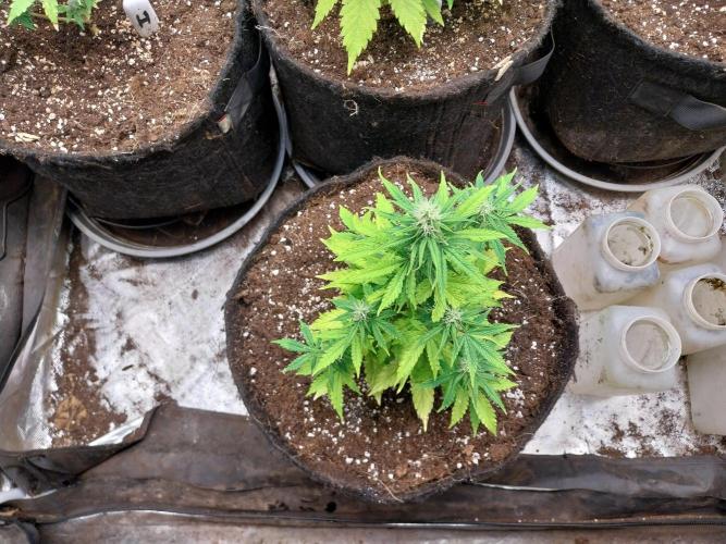 Bilout. Week 8 - 22/02 