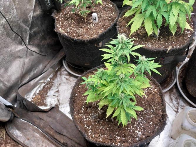 Bilout. Week 8 - 22/02 