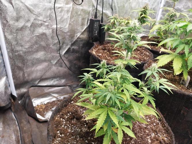 Bilout. Week 8 - 22/02 