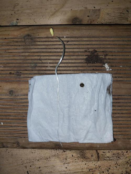 Pickdame. Week 0 - 09/03