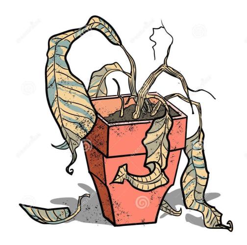 yadlasoup. Week 4