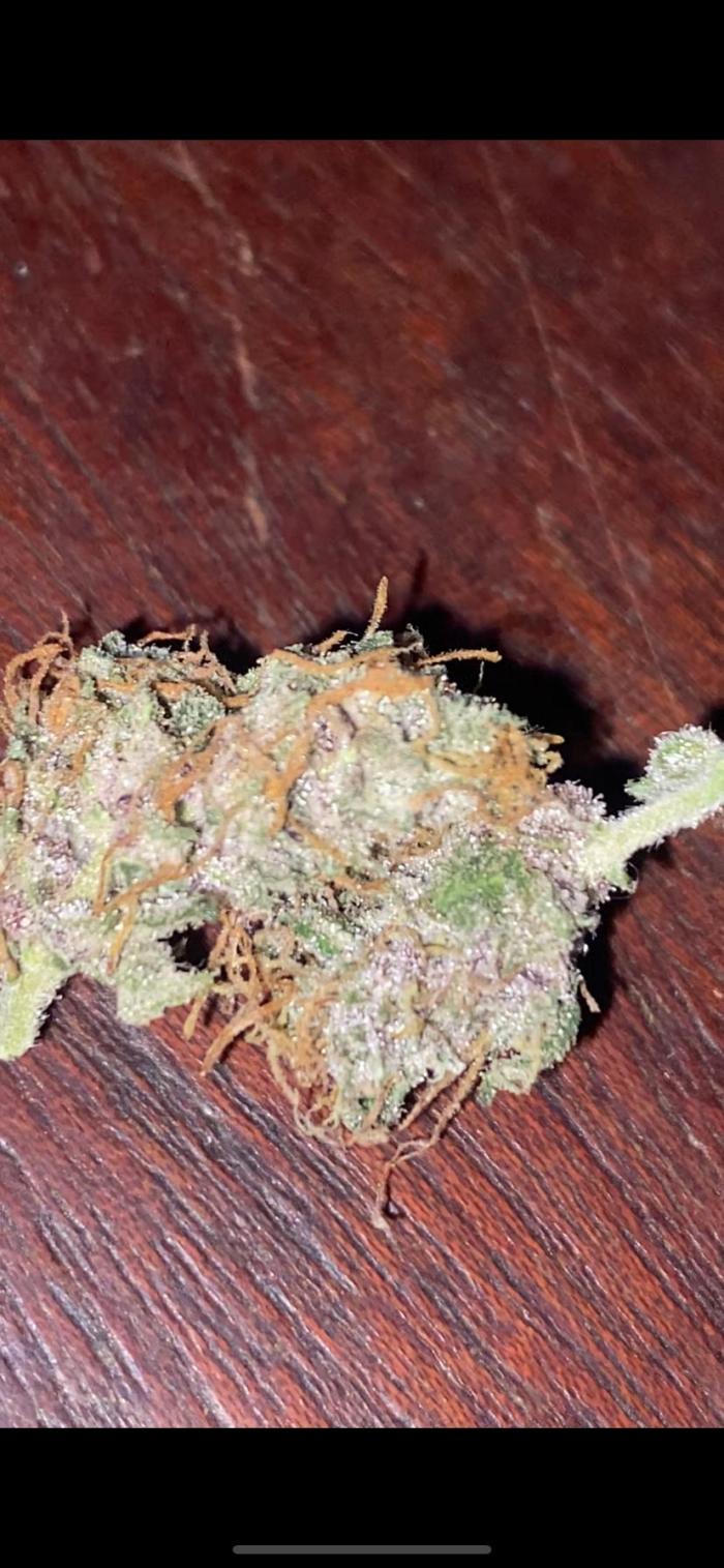 4x4 multi strain. Week 16