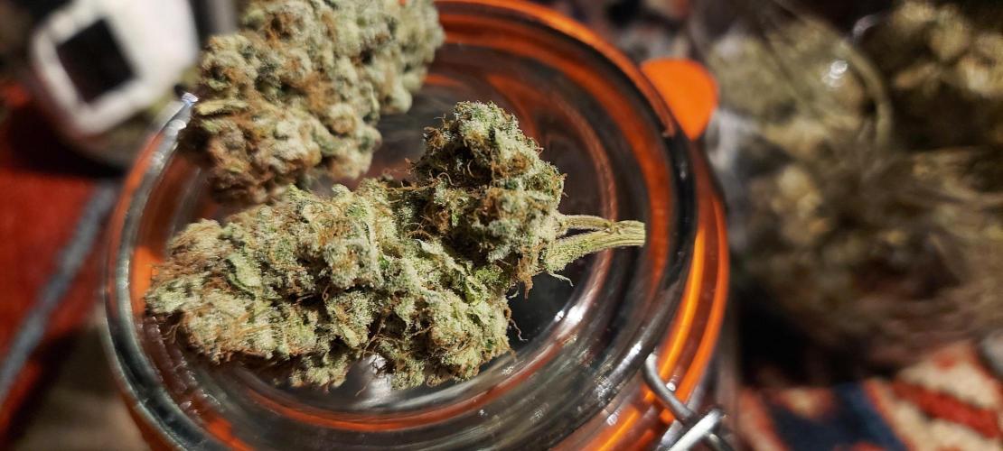 Sativa Lover - "The Classics". Week 18