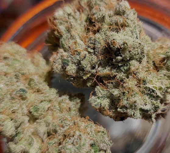 Sativa Lover - "The Classics". Week 18
