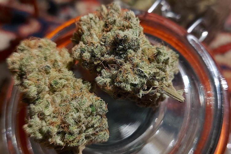 Sativa Lover - "The Classics". Week 18