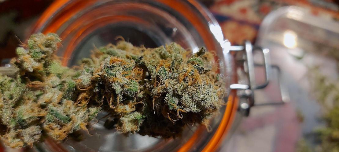 Sativa Lover - "The Classics". Week 18