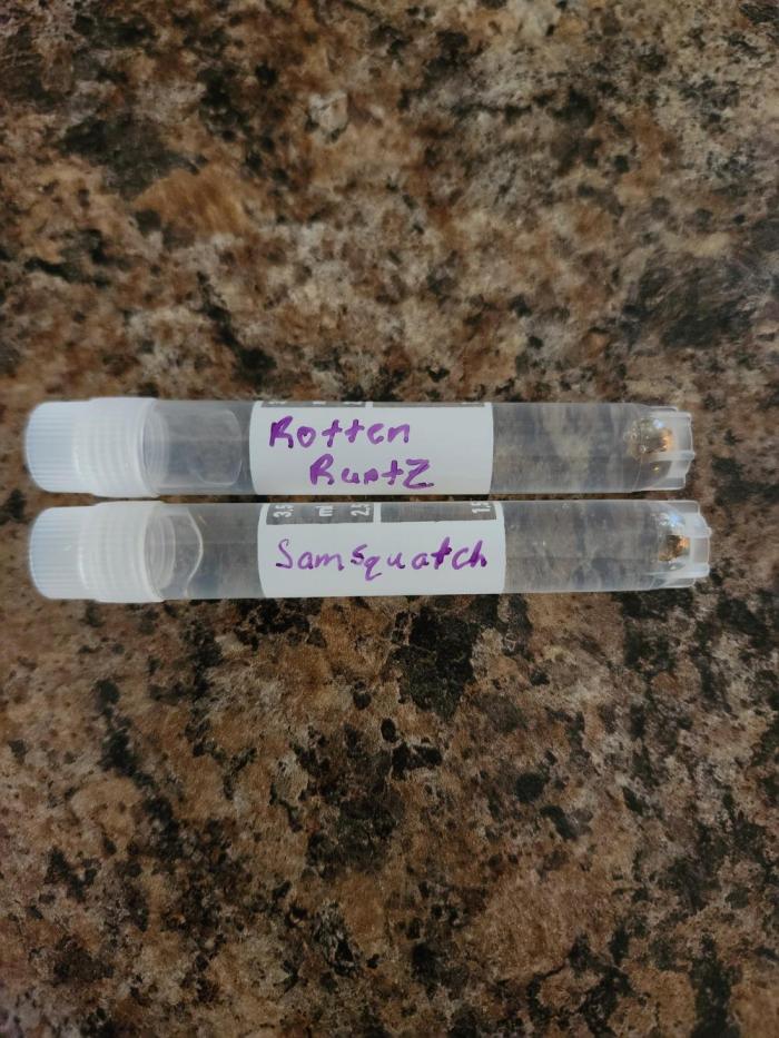 Auto seeds #1 & 2. Week 0