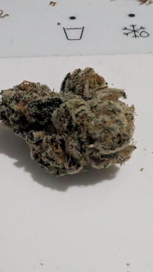 Floss Sugar & Luxar-Dos. Week 17