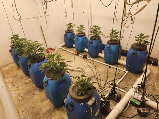 Wedding cake de Barneys. Week 3