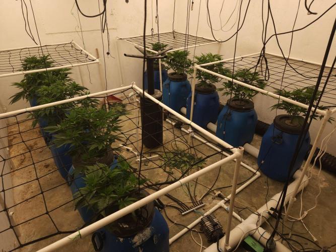 Wedding cake de Barneys. Week 4