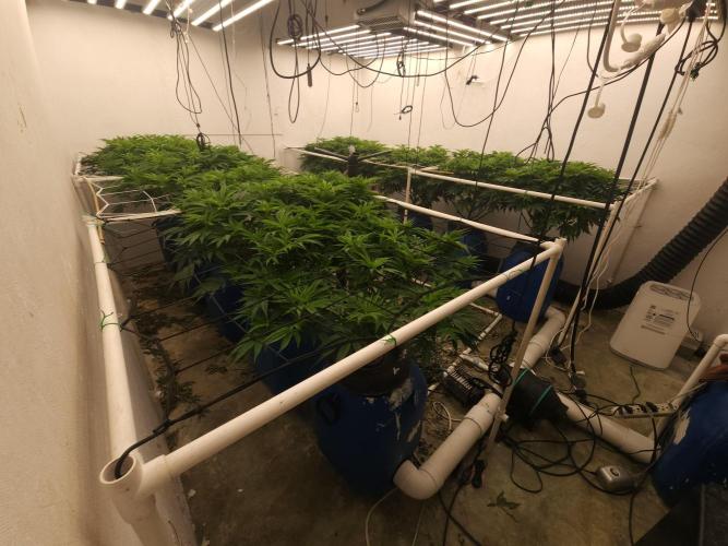 Wedding cake de Barneys. Week 8