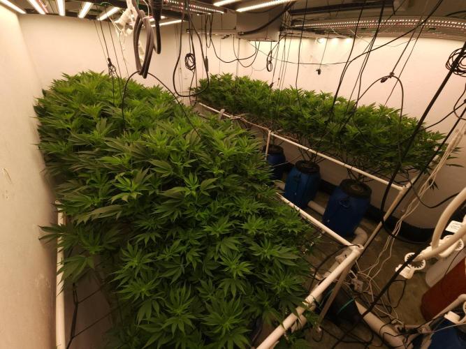 Wedding cake de Barneys. Week 10