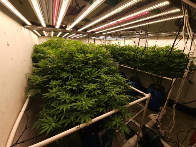 Wedding cake de Barneys. Week 11