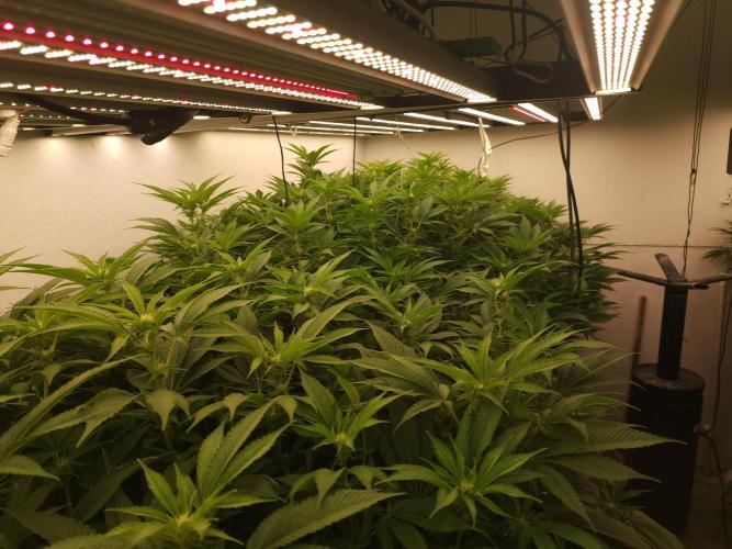 Wedding cake de Barneys. Week 11