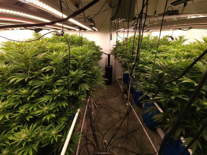 Wedding cake de Barneys. Week 12