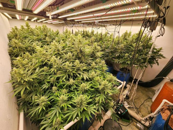 Wedding cake de Barneys. Week 14