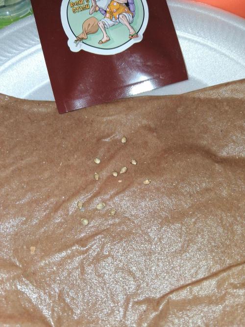 roshi's stash. Week 0