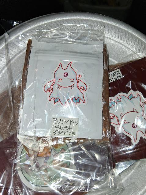 Bulma's Bush. Week 0