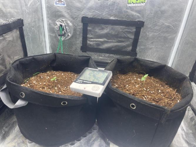 Grow&Trade. Week 0 - Dec,13,25