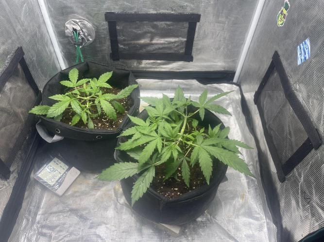 Grow&Trade. Week 4 - 10.1.26