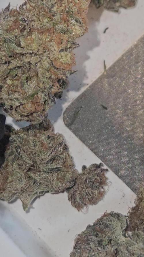 My Passion of Growing !