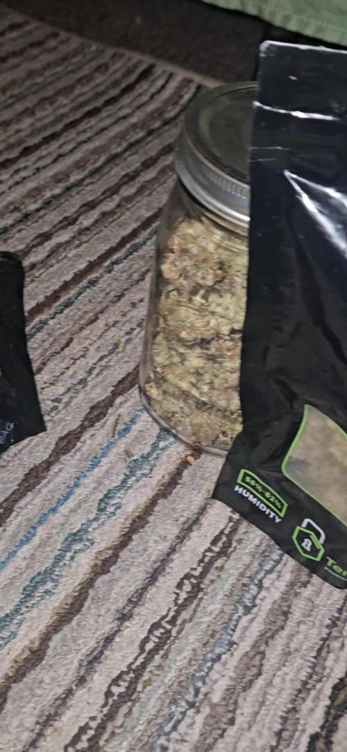 My Passion of Growing !