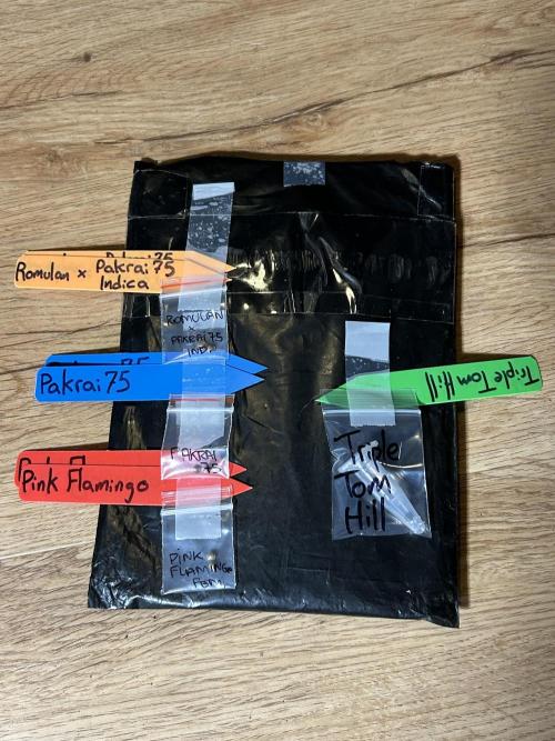 Landrace Ladies ‘26. Week 0 - Seeds and Labels