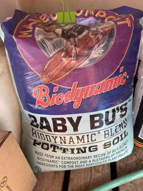 Landrace Ladies ‘26. Week 0 - Baby Bu’s Biodynamic Potting Soil