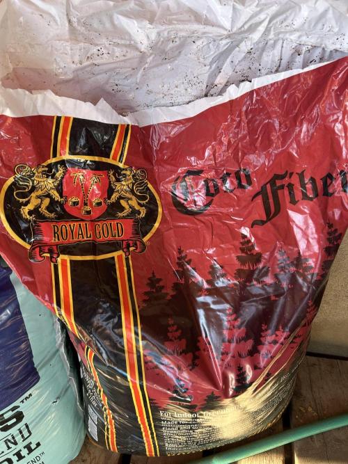 Landrace Ladies ‘26. Week 0 - Royal Gold Coco Fiber