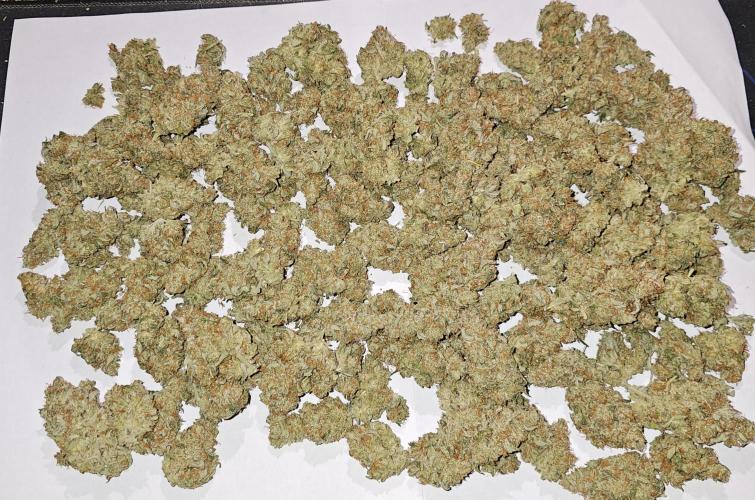 Hazed and Confused. Week 12