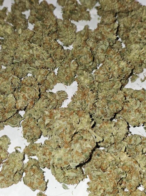 Hazed and Confused. Week 12