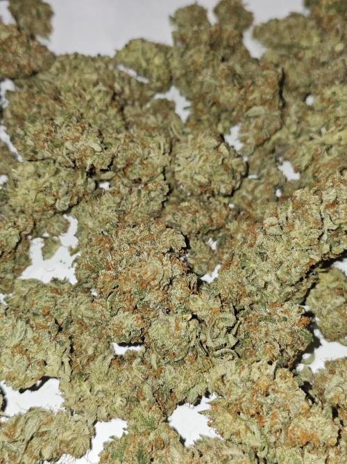 Hazed and Confused. Week 12