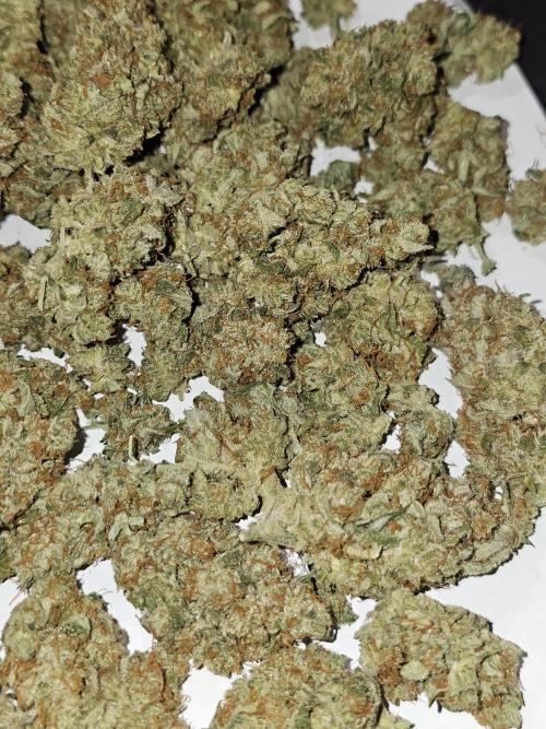 Hazed and Confused. Week 12