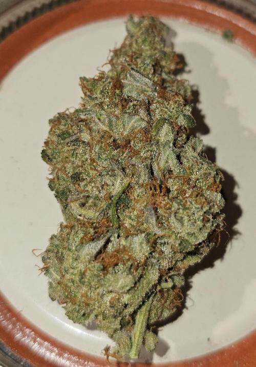 Hazed and Confused. Week 12