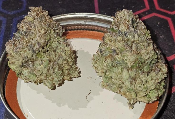 Sundae Thumper. Week 15