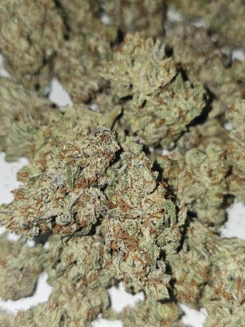 SMQR#2. Week 11